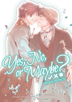 YES NO OR MAYBE LIGHT NOVEL VOL 03 WHERE HOME IS TP [9781638588221] *IMPORT FROM USA*