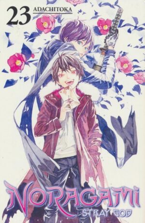 NORAGAMI STRAY GOD VOL 23 TP [9781646512348] *IMPORT FROM USA*