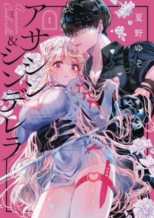ASSASSIN AND CINDERELLA VOL 01 TP [9781646093496] *USA IMPORT ON REQUEST*